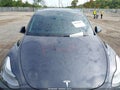 2025 Tesla Model Y — photo 6 of 12 | VIN 7SAYGDEE6SA352868