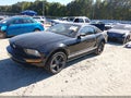 2005 Ford Mustang — photo 2 of 18 | VIN 1ZVFT80N555229003