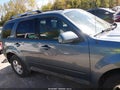 2012 Ford Escape — photo 13 of 16 | VIN 1FMCU9EGXCKB39956