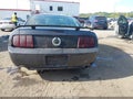 2007 Ford Mustang — photo 16 of 16 | VIN 1ZVHT82H875235865