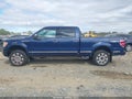 2009 Ford F-150 — photo 14 of 19 | VIN 1FTPW14V19FA43877