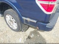2009 Ford F-150 — photo 18 of 19 | VIN 1FTPW14V19FA43877