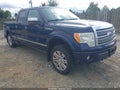 2009 Ford F-150 — photo 1 of 19 | VIN 1FTPW14V19FA43877