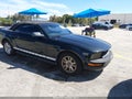 2007 Ford Mustang — photo 1 of 11 | VIN 1ZVFT84N375363425