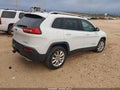 2017 Jeep Cherokee — photo 4 of 16 | VIN 1C4PJLDS1HW586211