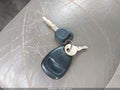 2006 Chevrolet Silverado 1500 — photo 11 of 11 | VIN 2GCEC13T661161345