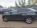 2022 Hyundai Tucson — photo 14 of 16 | VIN 5NMJBCAE2NH123980