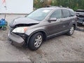 2009 Honda CR-V — photo 2 of 17 | VIN 5J6RE487X9L046832