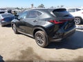 2026 Lexus NX 350h — photo 3 of 17 | VIN JTJGKCEZ3T2086136