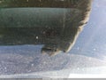 2010 Ford F-150 — photo 9 of 16 | VIN 1FTFW1EV6AFB14716