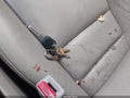 2008 Acura MDX — photo 11 of 16 | VIN 2HNYD28478H514472