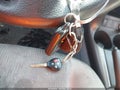 2010 Toyota RAV4 — photo 11 of 17 | VIN 2T3BF4DV8AW055071