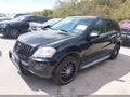 2010 Mercedes-Benz ML-Class — photo 2 of 10 | VIN 4JGBB8GB6AA575607