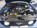 2006 Ford Mustang — photo 10 of 17 | VIN 1ZVHT82H765219607