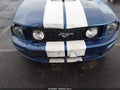 2006 Ford Mustang — photo 6 of 17 | VIN 1ZVHT82H765219607