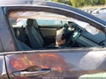 2018 Honda Civic — photo 5 of 12 | VIN 2HGFC2F76JH578197