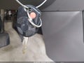 2010 Ford Edge — photo 11 of 12 | VIN 2FMDK3JC1ABA33722