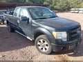 2013 Ford F-150 — photo 1 of 16 | VIN 1FTFX1CFXDFC61621