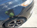 2011 Kia Optima Hybrid — photo 13 of 13 | VIN KNAGM4AD9B5008242