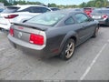 2005 Ford Mustang — photo 4 of 11 | VIN 1ZVFT80N055177733