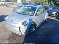 2002 Volkswagen Beetle — photo 2 of 12 | VIN 3VWCK21C62M418796