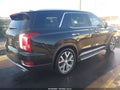 2020 Hyundai Palisade — photo 4 of 21 | VIN KM8R4DHE8LU079915