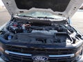 2024 Ford F-150 — photo 10 of 16 | VIN 1FTFW3LD9RFC17601