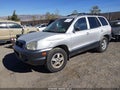 2002 Hyundai Santa Fe — photo 2 of 11 | VIN KM8SC13D42U175265