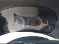 2004 Cadillac SRX — photo 7 of 11 | VIN 1GYDE63A440124282