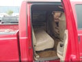 1999 Ford F-250 — photo 8 of 16 | VIN 1FTNW20F1XEC27733