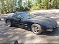 1997 Chevrolet Corvette — photo 1 of 11 | VIN 1G1YY22G1V5101987