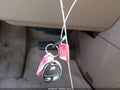 2008 Chevrolet Uplander — photo 11 of 11 | VIN 1GNDV23138D155740