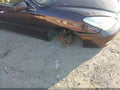 2004 Lexus ES 330 — photo 6 of 13 | VIN JTHBA30G840019193