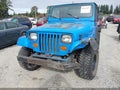1994 Jeep Wrangler — photo 6 of 17 | VIN 1J4FY19P6RP413905