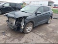 2019 Hyundai Tucson — photo 2 of 17 | VIN KM8J2CA46KU954180