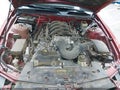 2008 Ford Mustang — photo 10 of 16 | VIN 1ZVHT82HX85154660