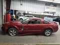 2008 Ford Mustang — photo 14 of 16 | VIN 1ZVHT82HX85154660