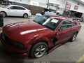 2008 Ford Mustang — photo 6 of 16 | VIN 1ZVHT82HX85154660