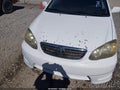 2007 Toyota Corolla — photo 6 of 21 | VIN 2T1BR32E77C816017