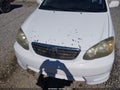 2007 Toyota Corolla — photo 13 of 21 | VIN 2T1BR32E77C816017