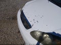 2007 Toyota Corolla — photo 16 of 21 | VIN 2T1BR32E77C816017