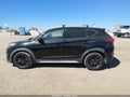 2017 Hyundai Tucson — photo 14 of 16 | VIN KM8J33A44HU460776