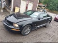 2005 Ford Mustang — photo 2 of 11 | VIN 1ZVFT80N455211060