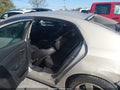 2012 Chevrolet Malibu — photo 8 of 16 | VIN 1G1ZD5EU8CF122555