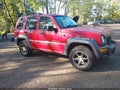 2003 Jeep Liberty — photo 1 of 16 | VIN 1J4GL48K13W698231