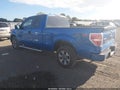 2013 Ford F-150 — photo 3 of 20 | VIN 1FTFX1CF8DKE96266