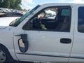 2003 GMC Sierra 1500 — photo 12 of 15 | VIN 2GTEC19T331138530