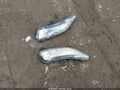 2023 Chevrolet Malibu — photo 12 of 18 | VIN 1G1ZD5ST1PF236351