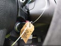 2017 Ford Focus — photo 11 of 17 | VIN 1FADP3F2XHL320191