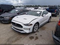 2019 Ford Mustang — photo 2 of 17 | VIN 1FA6P8TH9K5124365